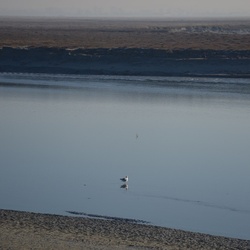 2016-12 France/Mont St Michel/DSC_0005.JPG